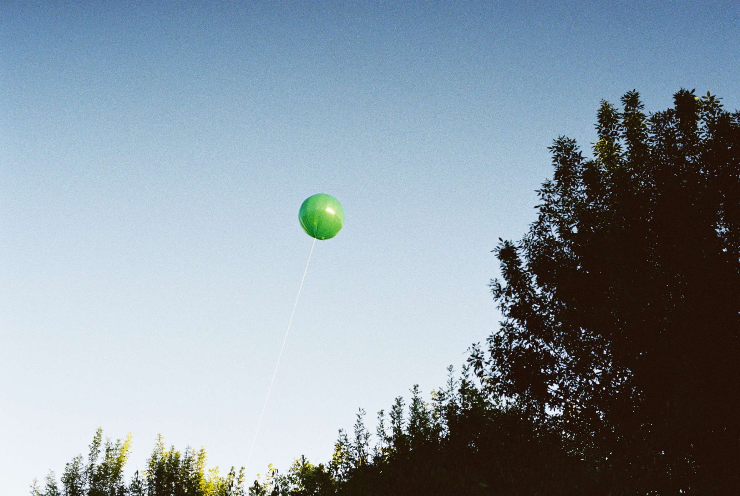 Miscellaneous photograph